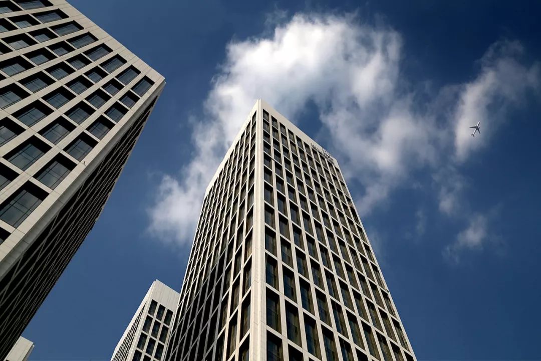 1570873936892608.jpg 10.jpg